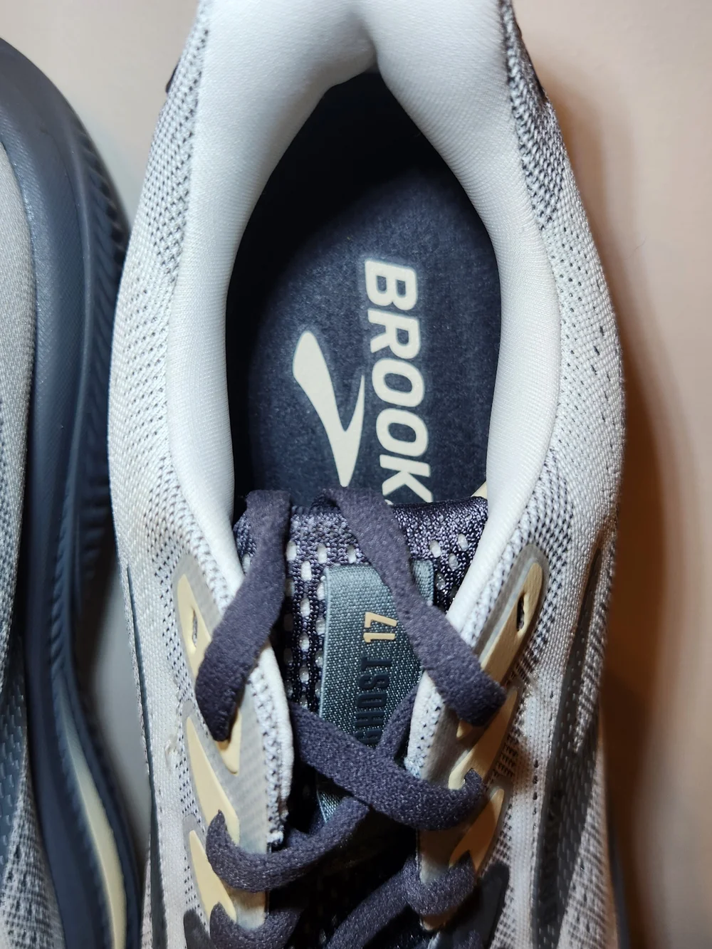 Brooks ghost 17